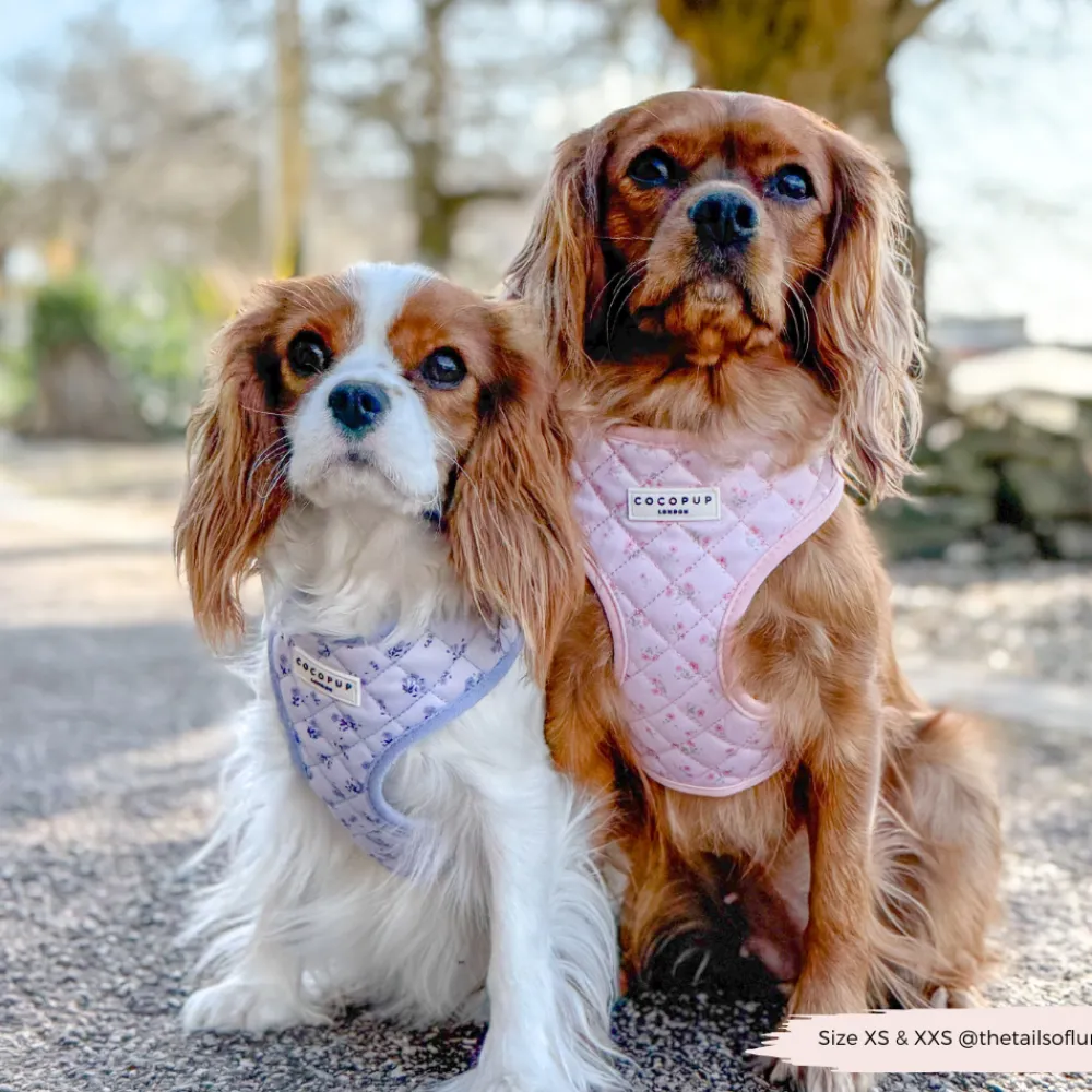 Cocopup Adjustable Harness Bundles-Quilted Ditsy Floral Pink Adjustable Neck Harness, Lead & Collar Bundle