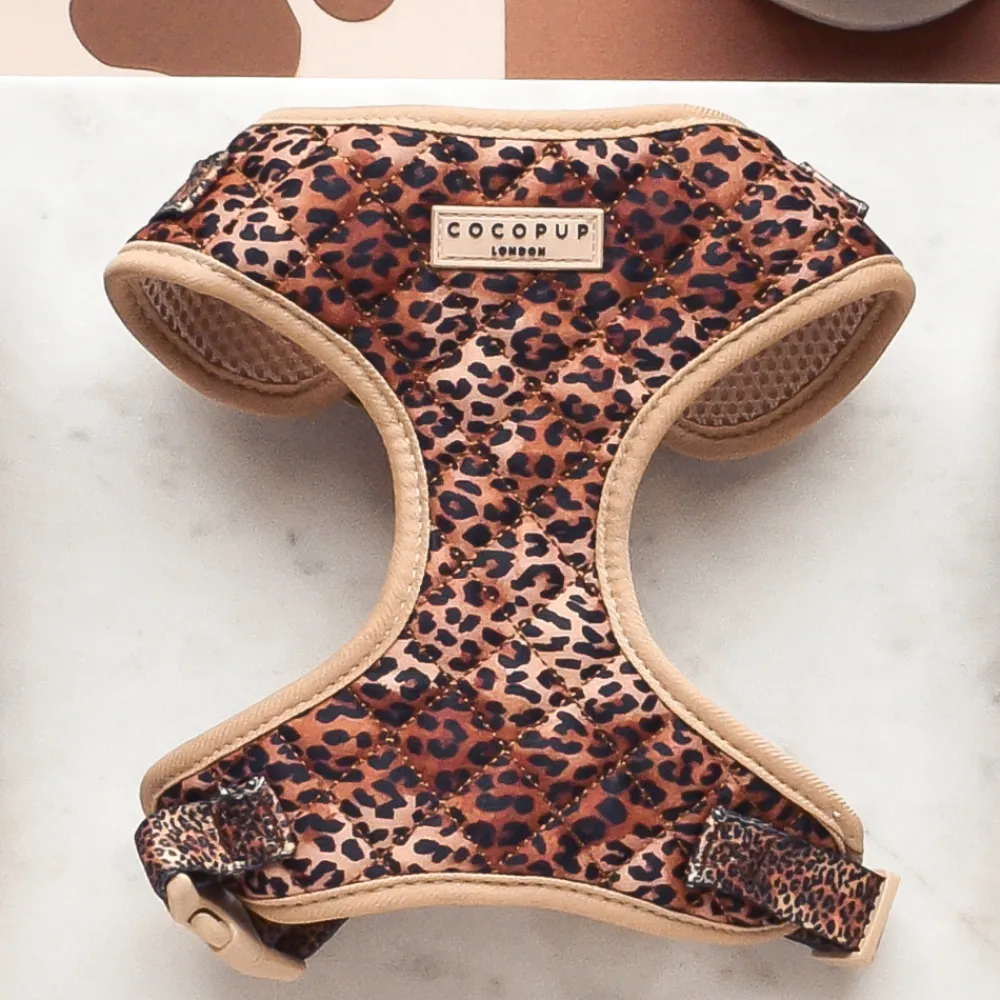 Cocopup Adjustable Harness Bundles-Quilted Leopard Pup Adjustable Neck Harness, Lead & Collar Bundle