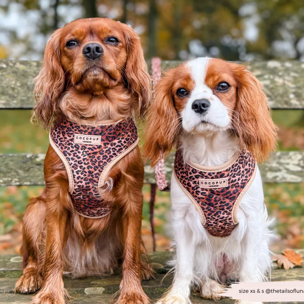 Cocopup Adjustable Neck Harnesses-Quilted Leopard Pup Adjustable Neck HARNESS