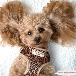 Cocopup Adjustable Neck Harnesses-Quilted Leopard Pup Adjustable Neck HARNESS
