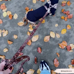 Cocopup Leads-Quilted Leopard Pup Lead