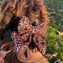 Cocopup Sailor Bow Ties-Quilted Leopard Pup Sailor Bow Tie