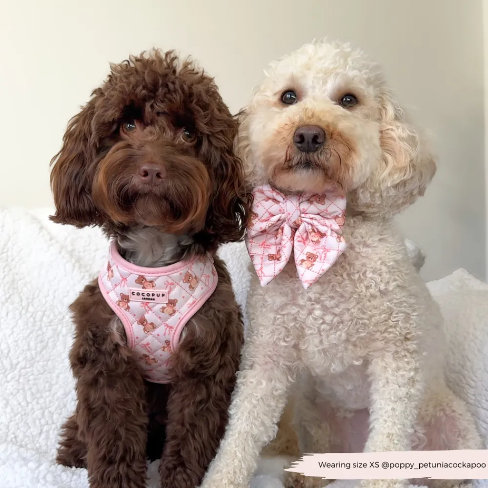Cocopup Adjustable Neck Harnesses-Quilted Thea Teddy Adjustable Neck HARNESS