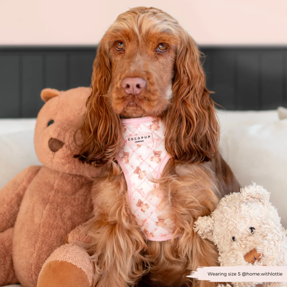 Cocopup Adjustable Harness Bundles-Quilted Thea Teddy Adjustable Neck Harness, Lead & Collar Bundle