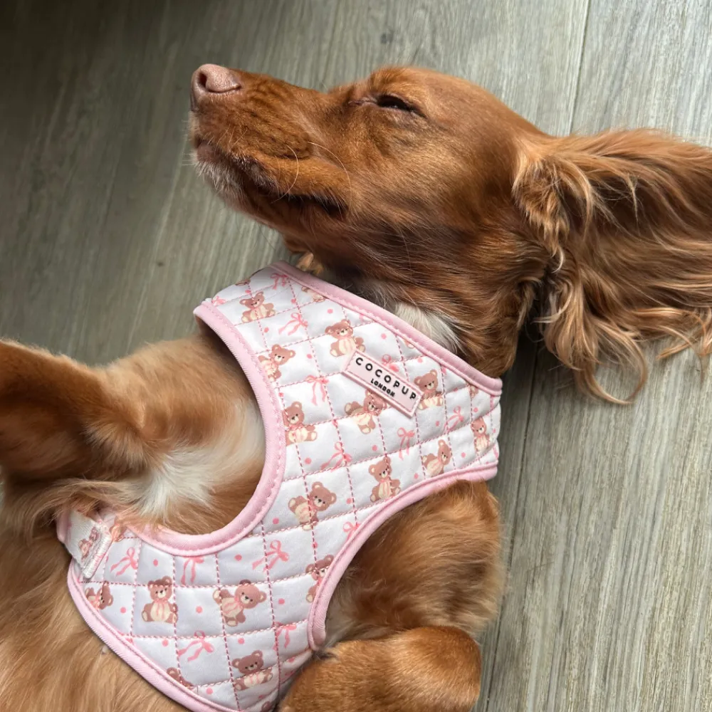 Cocopup Adjustable Neck Harnesses-Quilted Thea Teddy Adjustable Neck HARNESS