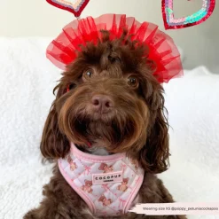 Cocopup Adjustable Harness Bundles-Quilted Thea Teddy Adjustable Neck Harness, Lead & Collar Bundle