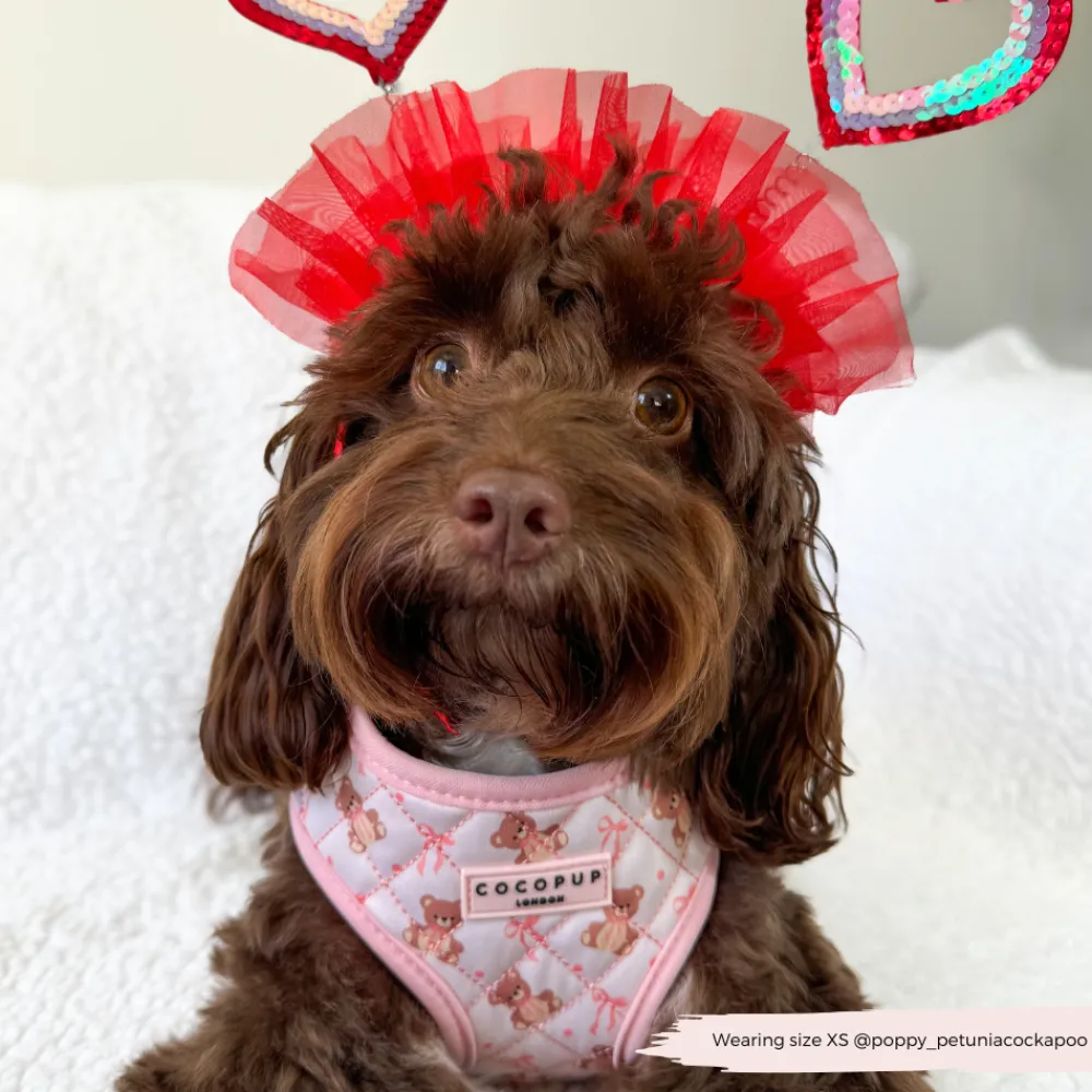 Cocopup Adjustable Harness Bundles-Quilted Thea Teddy Adjustable Neck Harness, Lead & Collar Bundle