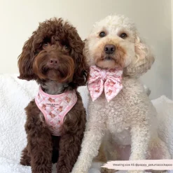 Cocopup Sailor Bow Ties-Quilted Thea Teddy Sailor Bow Tie