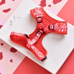 Cocopup Adjustable Neck Harnesses-Red & Pink Leopard Adjustable Neck HARNESS