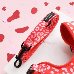 Cocopup Adjustable Harness Bundles-Red & Pink Leopard Adjustable Neck Harness, Lead & Collar Bundle