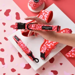 Cocopup Adjustable Harness Bundles-Red & Pink Leopard Adjustable Neck Harness, Lead & Collar Bundle