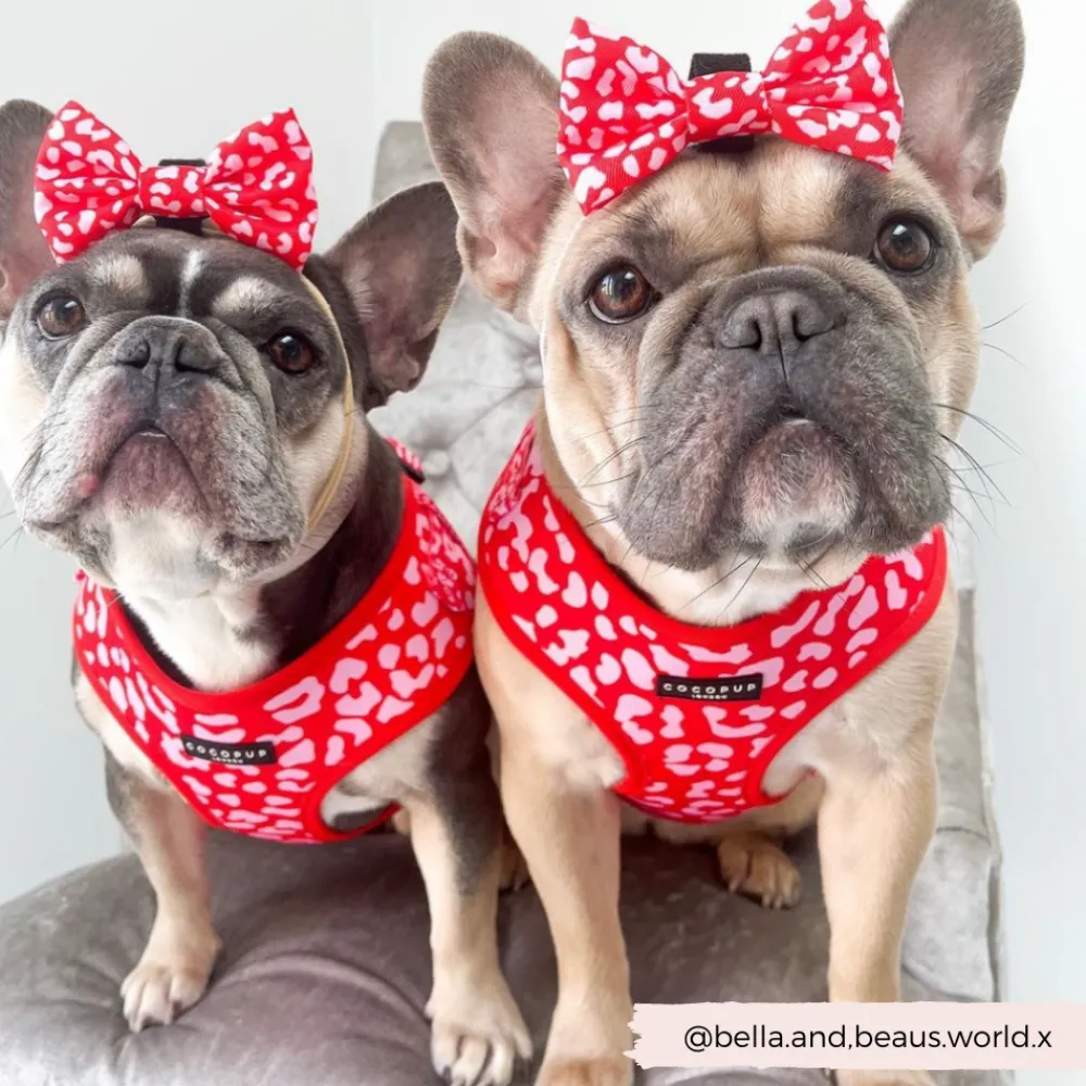 Cocopup Bow Ties-Red & Pink Leopard Bow Tie