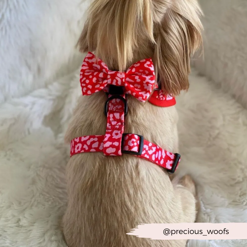 Cocopup Bow Ties-Red & Pink Leopard Bow Tie
