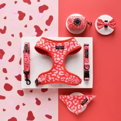 Cocopup Collars-Red & Pink Leopard COLLAR