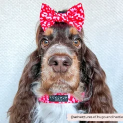 Cocopup Collars-Red & Pink Leopard COLLAR