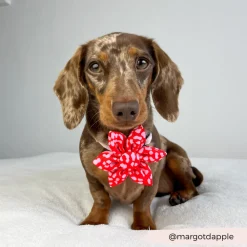 Cocopup Collar Flowers-Red & Pink Leopard Collar Flower