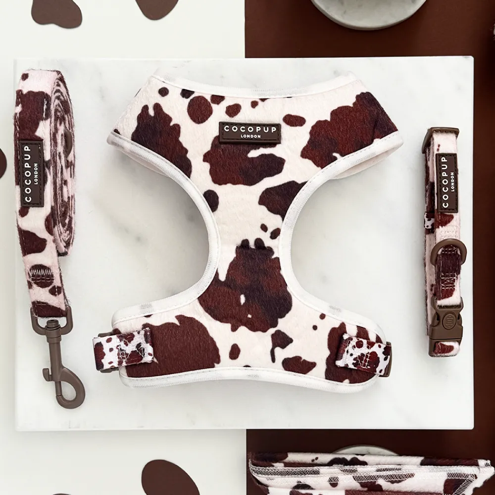 Cocopup Adjustable Harness Bundles-Rodeo Pup Adjustable Neck Harness, Lead & Collar Bundle
