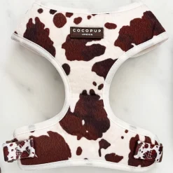 Cocopup Adjustable Harness Bundles-Rodeo Pup Adjustable Neck Harness, Lead & Collar Bundle