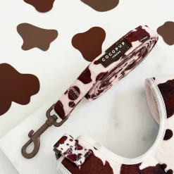 Cocopup Adjustable Harness Bundles-Rodeo Pup Adjustable Neck Harness, Lead & Collar Bundle