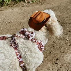 Cocopup Adjustable Neck Harnesses-Rodeo Pup Adjustable Neck HARNESS