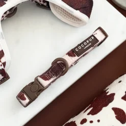 Cocopup Collars | Puppy Leads & Collars-Rodeo Pup COLLAR