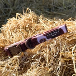 Cocopup Collars | Puppy Leads & Collars-Rodeo Pup COLLAR