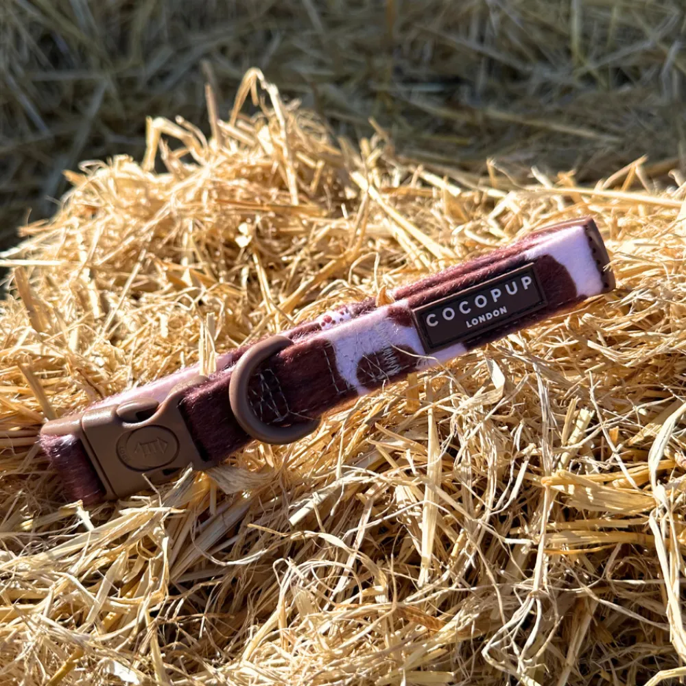 Cocopup Collars | Puppy Leads & Collars-Rodeo Pup COLLAR
