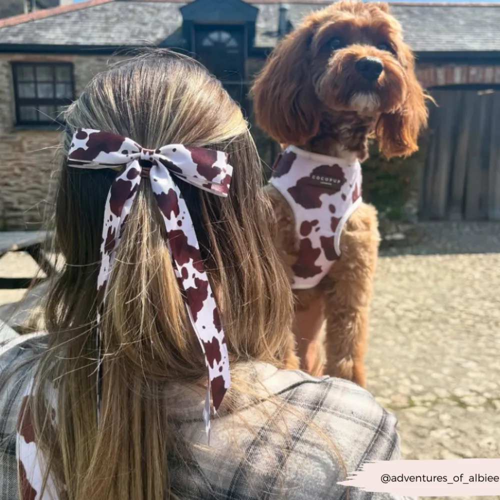 Cocopup Ribbon Bow Clips-Rodeo Pup Ribbon Bow Clip - By Coconut Lane