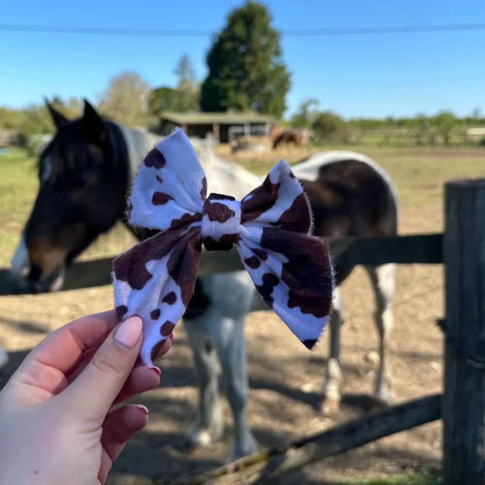 Cocopup Sailor Bow Ties-Rodeo Pup Sailor Bow Tie