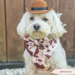 Cocopup Sailor Bow Ties-Rodeo Pup Sailor Bow Tie