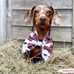Cocopup Sailor Bow Ties-Rodeo Pup Sailor Bow Tie