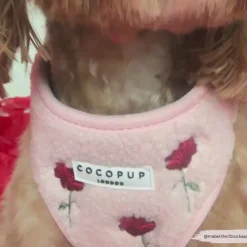 Cocopup Adjustable Neck Harnesses-Roses Embroidered Teddy Adjustable Neck HARNESS