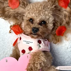 Cocopup Adjustable Neck Harnesses-Roses Embroidered Teddy Adjustable Neck HARNESS