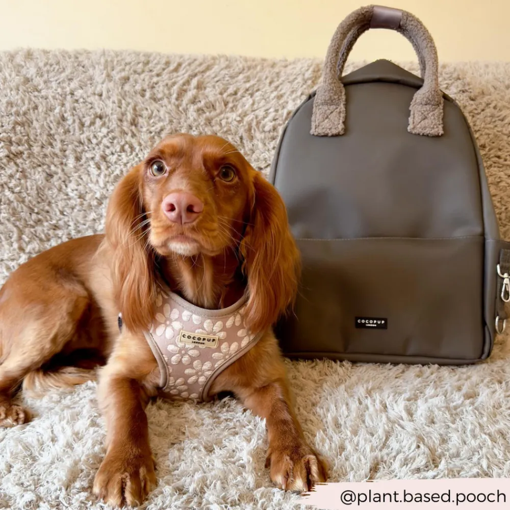 Cocopup Rucksacks | Rucksacks-Rucksack - Mocha