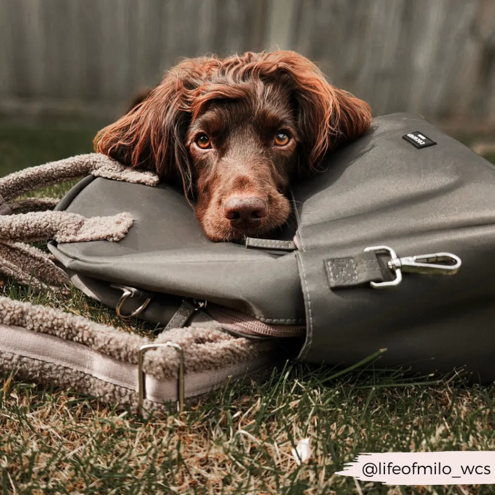 Cocopup Rucksacks | Rucksacks-Rucksack - Mocha