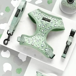 Cocopup Adjustable Harness Bundles-Sage Leopard Adjustable Neck Harness, Lead & Collar Bundle