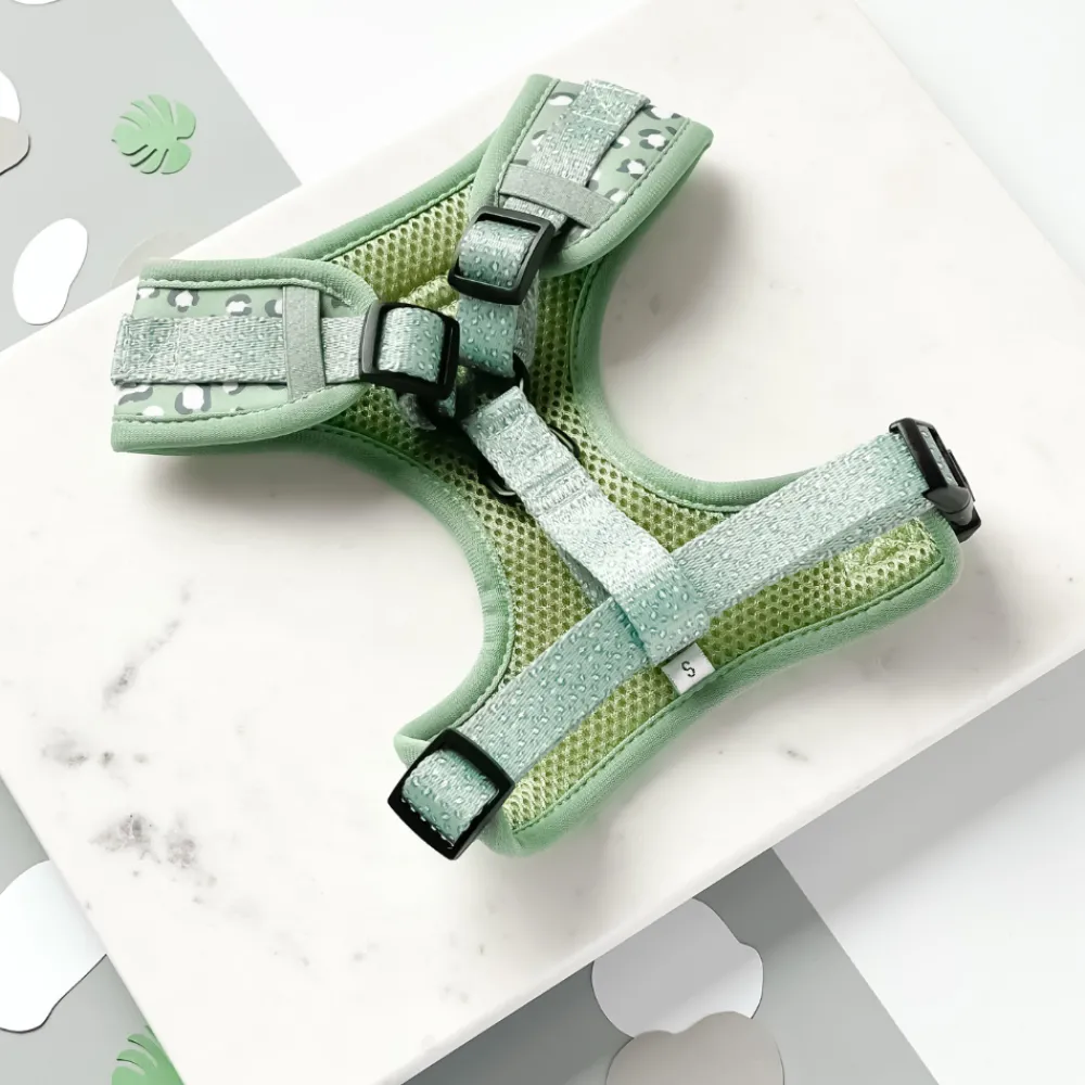 Cocopup Adjustable Harness Bundles-Sage Leopard Adjustable Neck Harness, Lead & Collar Bundle