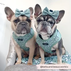 Cocopup Bow Ties-Sage Leopard Bow Tie