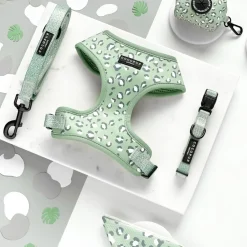 Cocopup Collars | Puppy Leads & Collars-Sage Leopard COLLAR