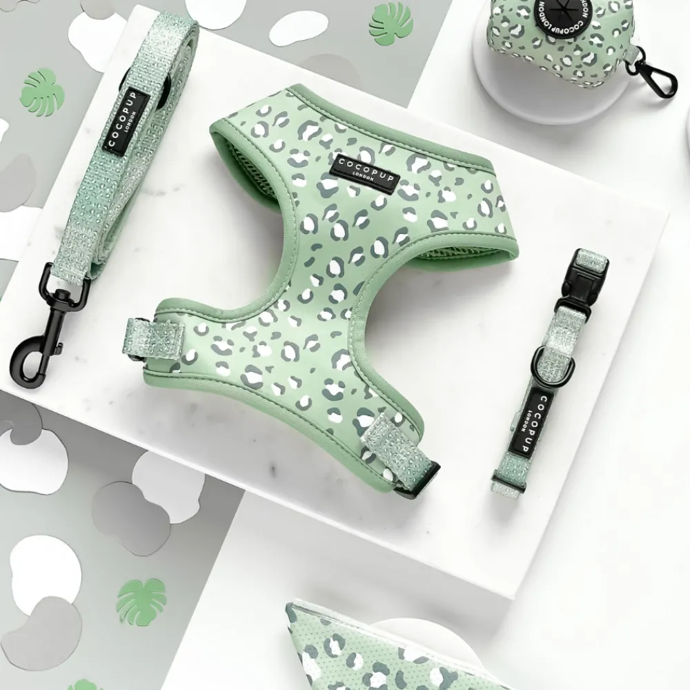 Cocopup Collars | Puppy Leads & Collars-Sage Leopard COLLAR