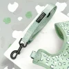 Cocopup Leads-Sage Leopard Lead