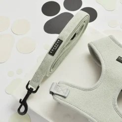 Cocopup Adjustable Harness Bundles-Sage Tweed Adjustable Neck Harness, Lead & Collar Bundle