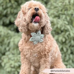 Cocopup Collar Flowers | Collar Flowers-Sage Tweed Collar Flower