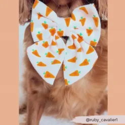 Cocopup Sailor Bow Ties-Sailor Bow Tie - Easter Carrot