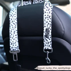 Cocopup Seatbelt Restraints-Seat Belt Restraint - Monochrome Spots