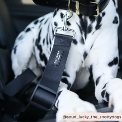 Cocopup Seatbelt Restraints-Seat Belt Restraint - Plain Black