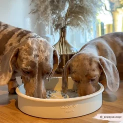 Cocopup Slow Feed Dog Bowls-Silicone Slow Feed Dog Bowl - Cream Flowers