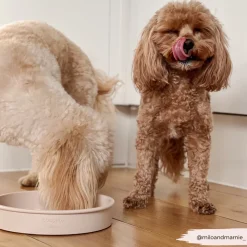 Cocopup Slow Feed Dog Bowls-Silicone Slow Feed Dog Bowl - Baby Pink Flowers