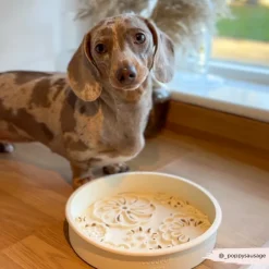 Cocopup Slow Feed Dog Bowls-Silicone Slow Feed Dog Bowl - Cream Flowers