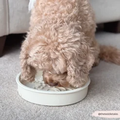 Cocopup Slow Feed Dog Bowls-Silicone Slow Feed Dog Bowl - Cream Flowers